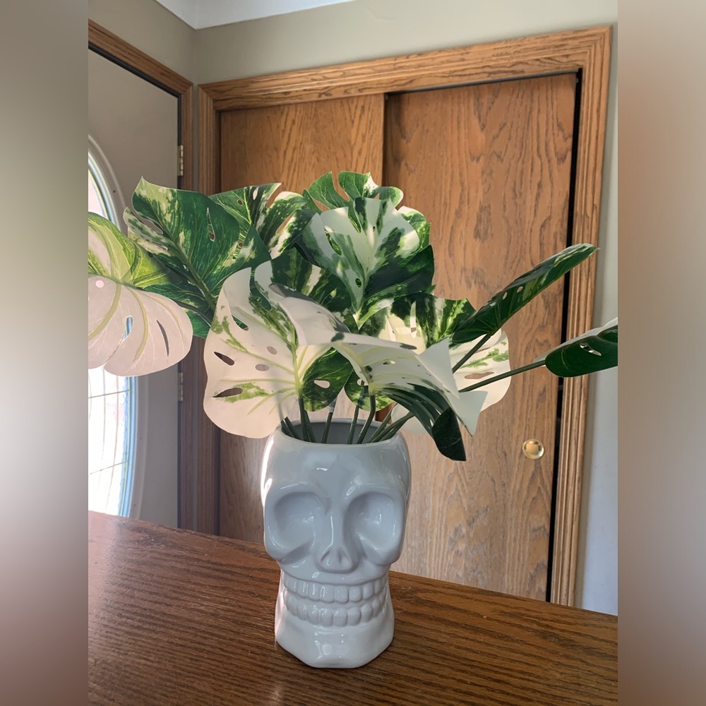 Skull ceramic white vase Variegated monstera leaves bundles halloween